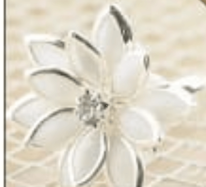 12 lotus flower design ring silver colour