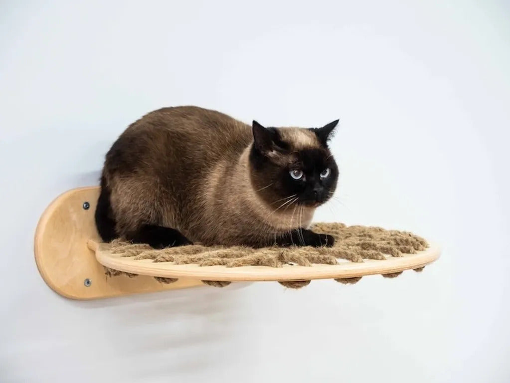 TACCUV CAT HAMMOCK